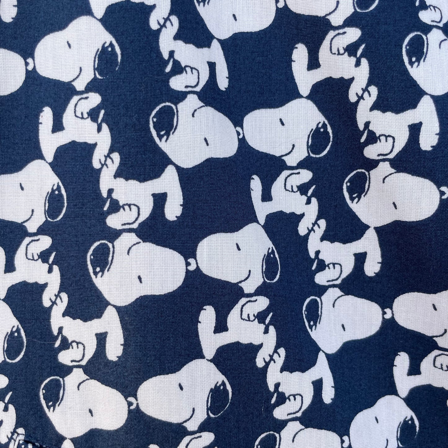 Gilet Iceberg Snoopy