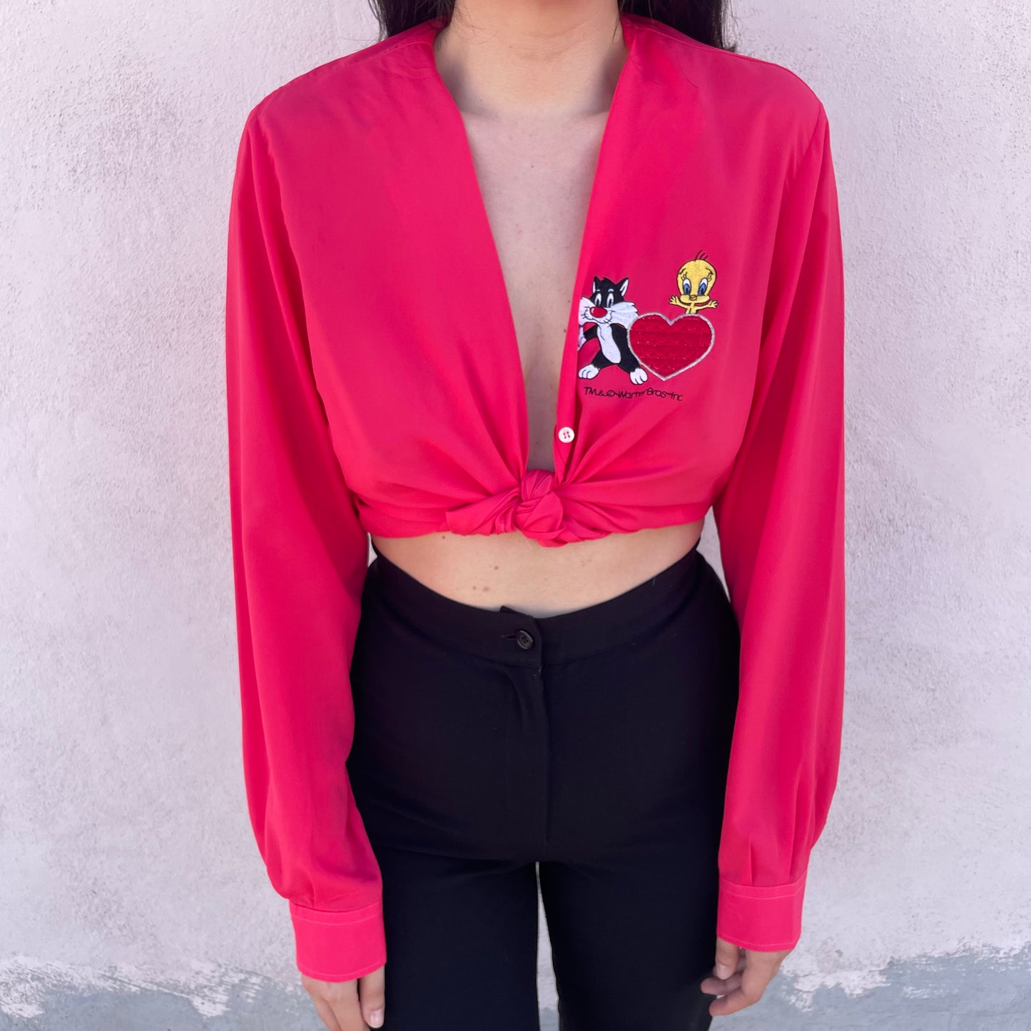 Camicia viscosa Titti e Silvestro