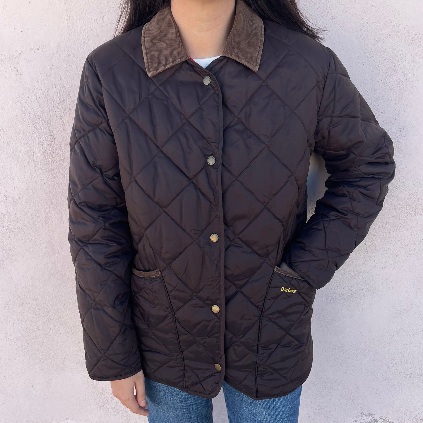 Barbour cioccolato