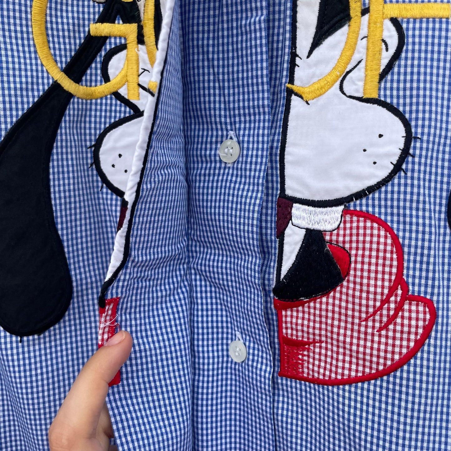 Camicia vichy Pippo