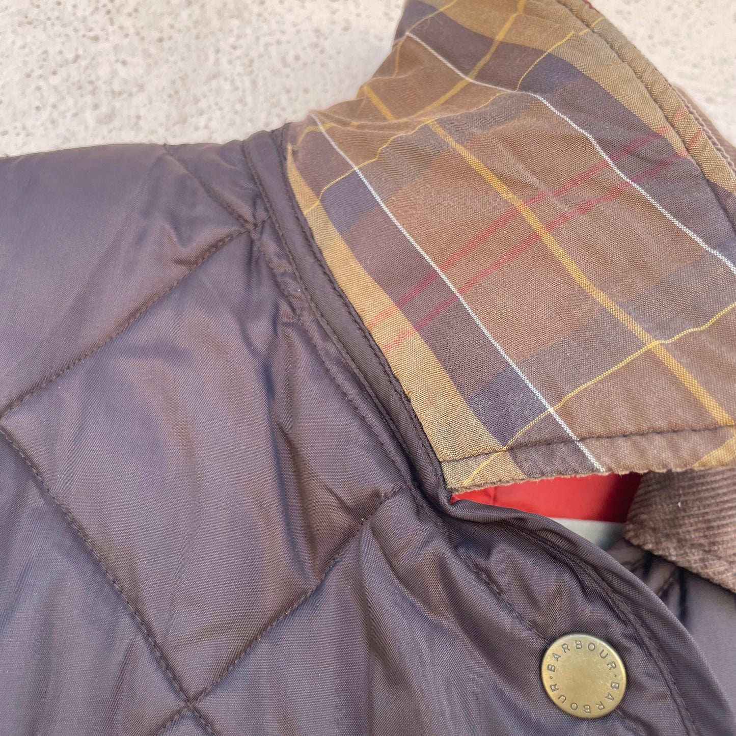 Barbour cioccolato